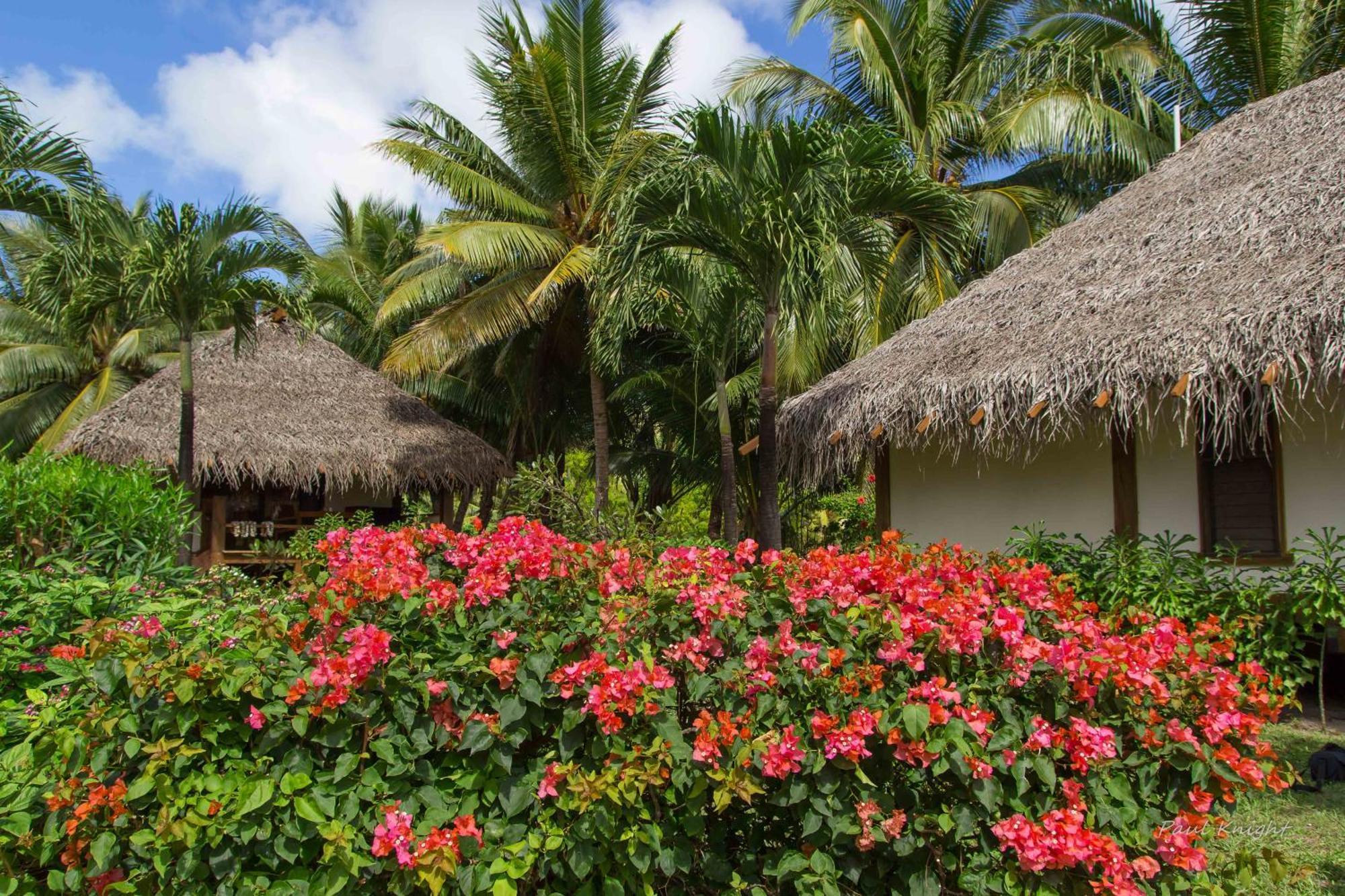 Etu Moana Boutique Beach Villas - Adults Only Арутанга Екстериор снимка
